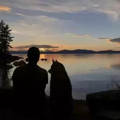 阚旦娅